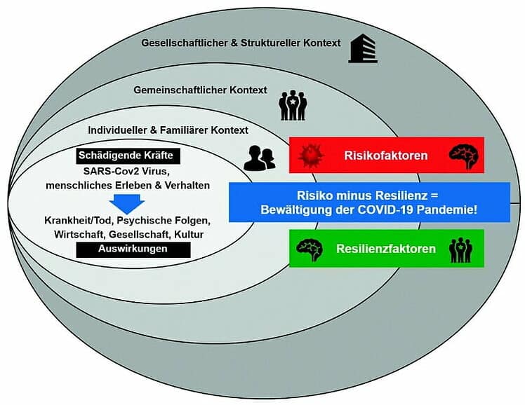 Gesamtgesellschaftliche Bewältigung der COVID-19-Pandemie aus systemtheoretischer Sicht