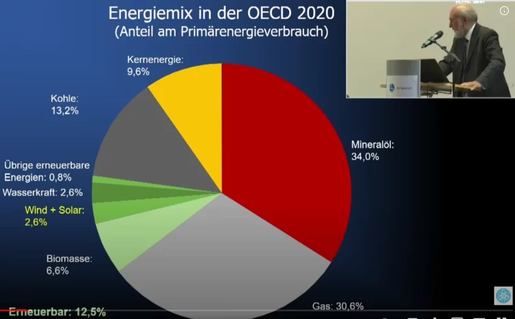 Sinn 2022 - Energiemix OECD 2020