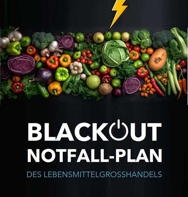 Österreichischer Lebensmittelgroßhandel präsentiert gemeinsamen Blackout-Vorsorge-Plan