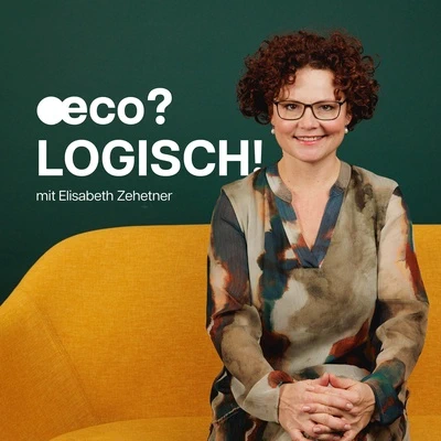 Irrtümer der Energiewende mit Bernd Spatzenegger